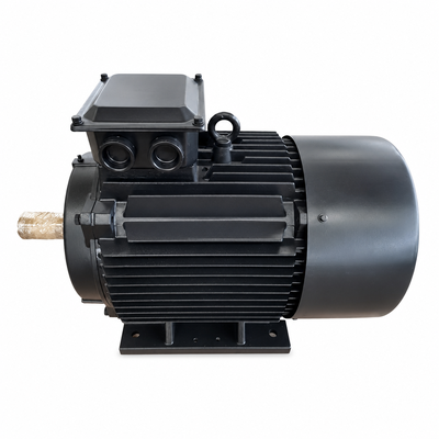 Guter Preis Dauermagnetmotor mit 75 kW Wechselgeschwindigkeit mit IE5-Effizienz für Energieeinsparanwendungen online