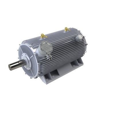 Guter Preis Bewegungsvariable Geschwindigkeit IP54 IP55 des Direktantrieb-PMAC 3 Phasen-dauerhafter Synchronmotor online