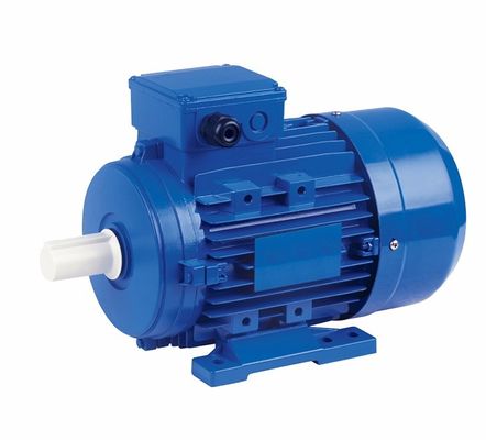 Buon prezzo Motore senza spazzola leggero di ottimo rendimento blu del motore a corrente alternata IP54 IPM in linea