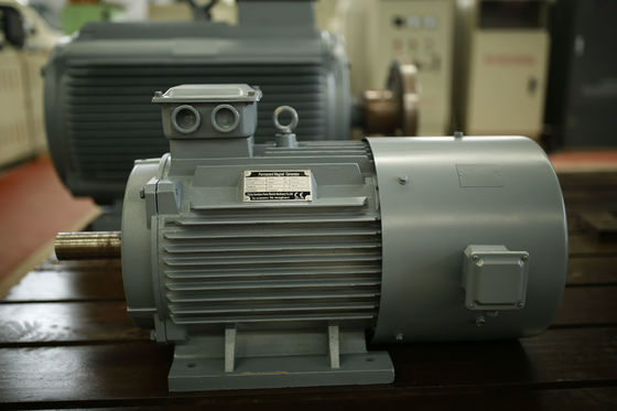Bom preço Alternador do gerador de ímã permanente da C.A. de baixo nível de ruído/manutenção para a turbina eólica on-line