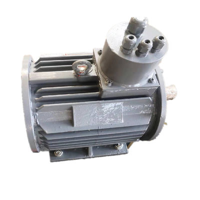 سعر جيد مولد مغناطيسي دائم خالٍ من الوقود 1000kw 500rpm IP54 IP55 IP68 متصل
