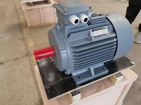 Buen precio Motor eléctrico modificado para requisitos particulares del imán permanente de 132kw 150kw para el extrusor plástico en línea