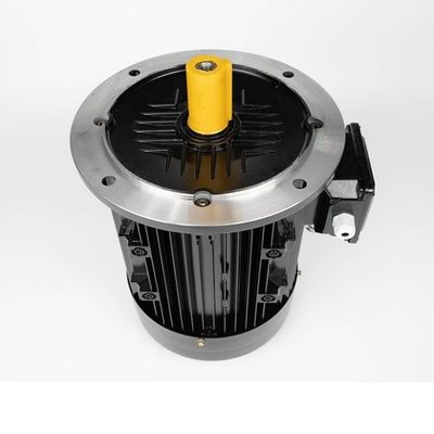Bon prix Moteur synchrone à un aimant permanent interne, moteur sans brosse d'IPM en ligne