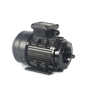 Buon prezzo Motore elettrico di IP54 IP55 50hz PMSM a basso rumore ed ampia gamma di velocità di vibrazione in linea