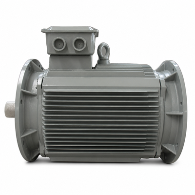 Good price 200KW High Starting Torque IE5 Ultra Premium Efficiency Permanent Magnet Motor for Crusher Conveyor Duty online