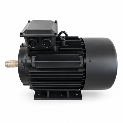 Qualität 185 kW IE5 Ultra Premium Permanent Magnet Motor mit IC71W Wassermantel für Gummimischer Fabrik